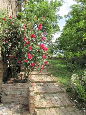 Ferienhaus in Sassocorvaro (Pesaro e Urbino) oder Ferienwohnung oder Ferienhaus