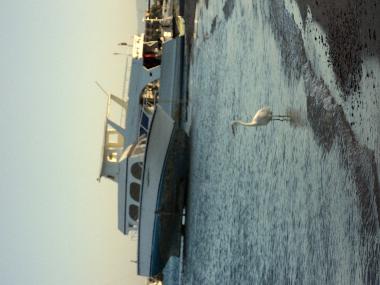 Ferienwohnung in HURGADA (Al Bahr al Ahmar) oder Ferienwohnung oder Ferienhaus