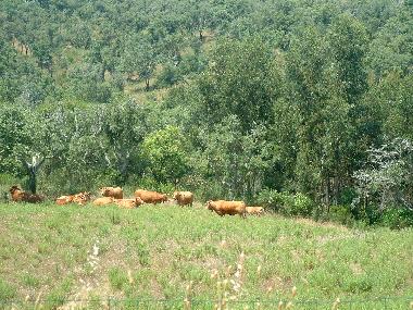 Ferienhaus in Sines (Alentejo Litoral) oder Ferienwohnung oder Ferienhaus