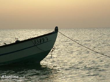 Ferienwohnung in Haifa (Hefa (Haifa)) oder Ferienwohnung oder Ferienhaus