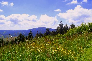 Natur pur, saftige Bergwiesen und W�lder