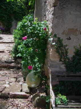 Ferienhaus in Sassocorvaro (Pesaro e Urbino) oder Ferienwohnung oder Ferienhaus