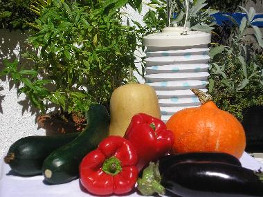 Ferienhaus in Sonnac Sur L