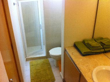 Das moderne Bad mit Dusche