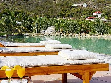 Villa in St Barthelemy (Sint Maarten) oder Ferienwohnung oder Ferienhaus