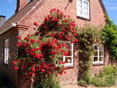 Ferienhaus in Hobstin (Holsteinische Schweiz) oder Ferienwohnung oder Ferienhaus