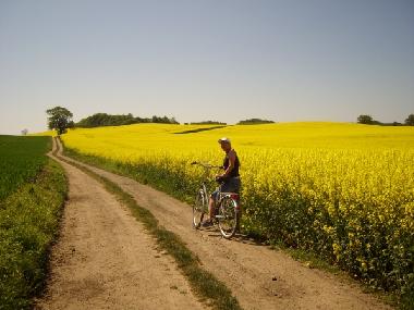 Ferienhaus in Hobstin (Holsteinische Schweiz) oder Ferienwohnung oder Ferienhaus