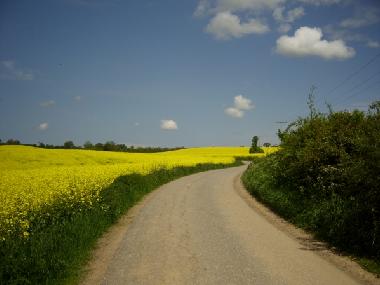 Ferienhaus in Hobstin (Holsteinische Schweiz) oder Ferienwohnung oder Ferienhaus