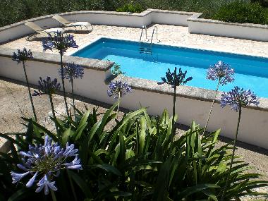 Ferienwohnung in Cisternino (Brindisi) oder Ferienwohnung oder Ferienhaus