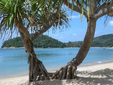 Villa in nai yang (Phuket) oder Ferienwohnung oder Ferienhaus