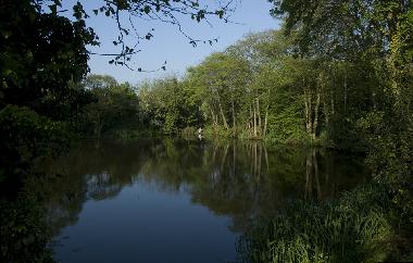 Ferienhaus in Bideford (South West) oder Ferienwohnung oder Ferienhaus