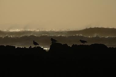 Ferienhaus in Bideford (South West) oder Ferienwohnung oder Ferienhaus