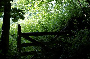 Ferienhaus in Bideford (South West) oder Ferienwohnung oder Ferienhaus