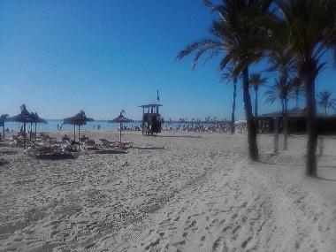 Ferienwohnung in Pto.Alcudia (Mallorca) oder Ferienwohnung oder Ferienhaus