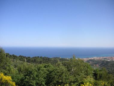 Villa in Diano Castello (Imperia) oder Ferienwohnung oder Ferienhaus