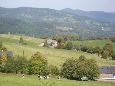 Ferienwohnung in Stosswihr (Haut-Rhin) oder Ferienwohnung oder Ferienhaus