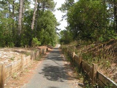 Wohnwagen in Rauzan (Dordogne) oder Ferienwohnung oder Ferienhaus