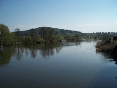 Vogelschutzgebiet Regentalaue