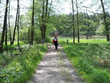 Wanderweg 