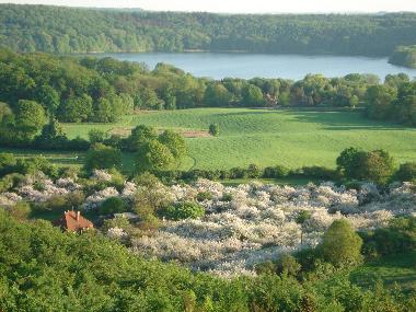 Fr�hling in der Holsteinischen Schweiz