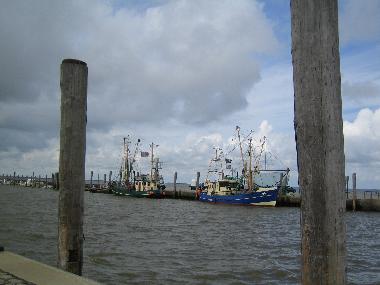 Ferienwohnung in Dagebll (Nordsee-Festland) oder Ferienwohnung oder Ferienhaus