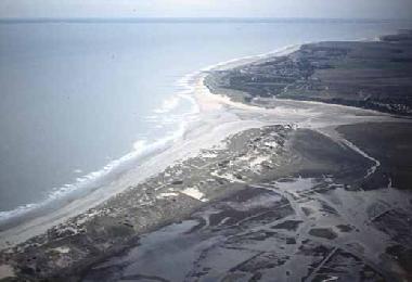 Ferienhaus in Cadzand (Zeeland) oder Ferienwohnung oder Ferienhaus