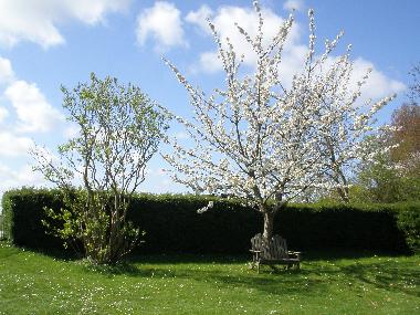 Ferienhaus in Oostburg (Zeeland) oder Ferienwohnung oder Ferienhaus