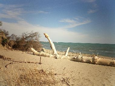 Ferienwohnung in Thezan les Beziers (H�rault) oder Ferienwohnung oder Ferienhaus