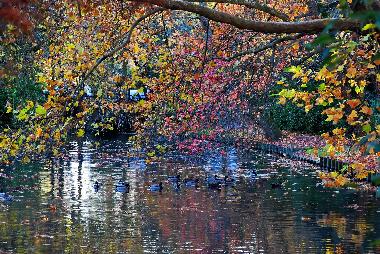 Ferienwohnung in LA ROCHELLE (Charente-Maritime) oder Ferienwohnung oder Ferienhaus