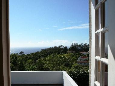 Ferienhaus in Capelo (Azoren) oder Ferienwohnung oder Ferienhaus
