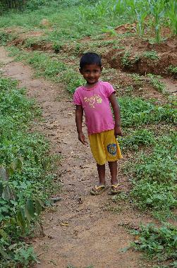 Ferienhaus in Koslanda (Badulla) oder Ferienwohnung oder Ferienhaus