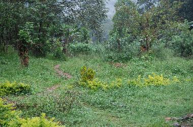 Ferienhaus in Koslanda (Badulla) oder Ferienwohnung oder Ferienhaus