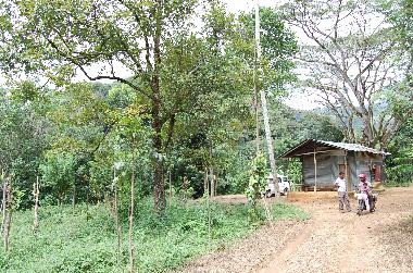 Ferienhaus in Koslanda (Badulla) oder Ferienwohnung oder Ferienhaus