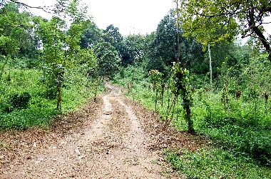 Ferienhaus in Koslanda (Badulla) oder Ferienwohnung oder Ferienhaus