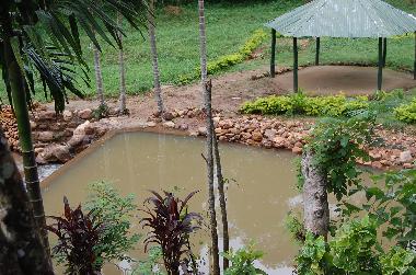 Ferienhaus in Koslanda (Badulla) oder Ferienwohnung oder Ferienhaus