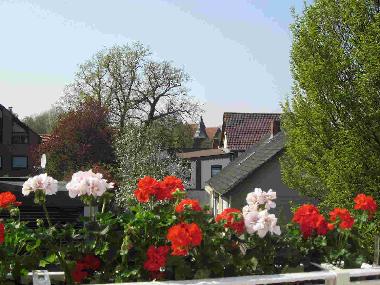 Blick vom Balkon nach Westen