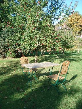 Sitzplatz im Garten