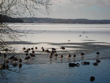 Winter am Kellersee