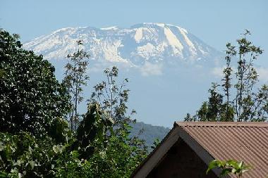 Villa in UsaRiver (Arusha) oder Ferienwohnung oder Ferienhaus