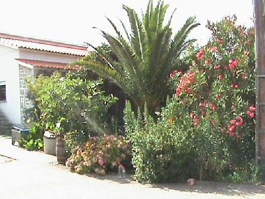 Ferienhaus in COIMBRAO (Pinhal Litoral) oder Ferienwohnung oder Ferienhaus
