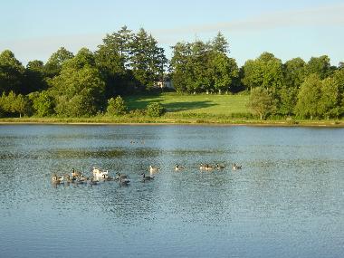 Ferienhaus in Langoelan (Morbihan) oder Ferienwohnung oder Ferienhaus