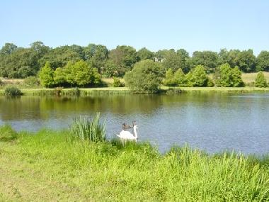 Ferienhaus in Langoelan (Morbihan) oder Ferienwohnung oder Ferienhaus