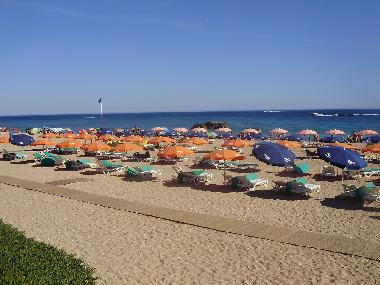 Ferienwohnung in Albufeira (Algarve) oder Ferienwohnung oder Ferienhaus