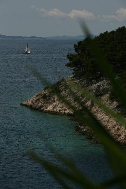 Ferienwohnung in Milna (Splitsko-Dalmatinska) oder Ferienwohnung oder Ferienhaus