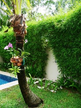 Ferienhaus in Bang Tao on Phuket Island (Phuket) oder Ferienwohnung oder Ferienhaus