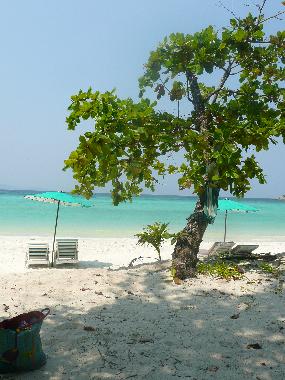 Ferienhaus in Bang Tao on Phuket Island (Phuket) oder Ferienwohnung oder Ferienhaus