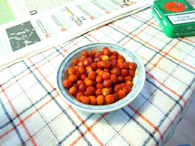 Ferienhaus in Vara (V�sterg�tland) oder Ferienwohnung oder Ferienhaus