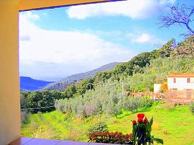 Ferienwohnung in Campiglia Marittima (Livorno) oder Ferienwohnung oder Ferienhaus