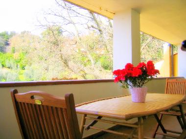 Ferienwohnung in Campiglia Marittima (Livorno) oder Ferienwohnung oder Ferienhaus