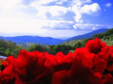 Ferienwohnung in Campiglia Marittima (Livorno) oder Ferienwohnung oder Ferienhaus